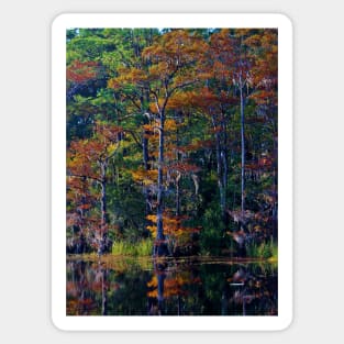 Autumn Trees Sticker